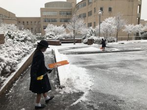 12月15日（火）　「雪」 の投稿